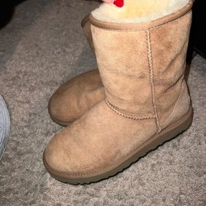 Classic Short Uggs